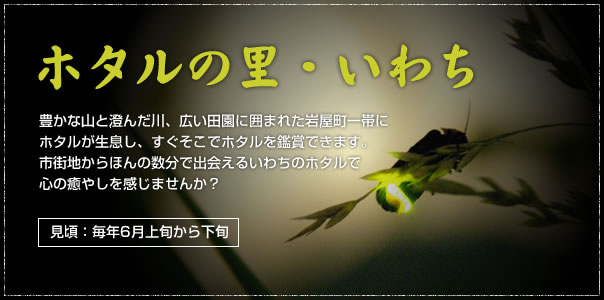 ホタルの里・いわち。豊かな山と澄んだ川、広い田園に囲まれた岩屋町一帯にホタルが生息し、すぐそこでホタルを鑑賞できます。市街地からほんの数分で出会えるいわちのホタルで心の癒やしを感じませんか？見頃：毎年6月上旬から下旬